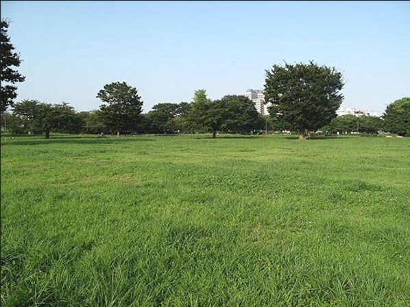 エストフルーヴの物件内観写真